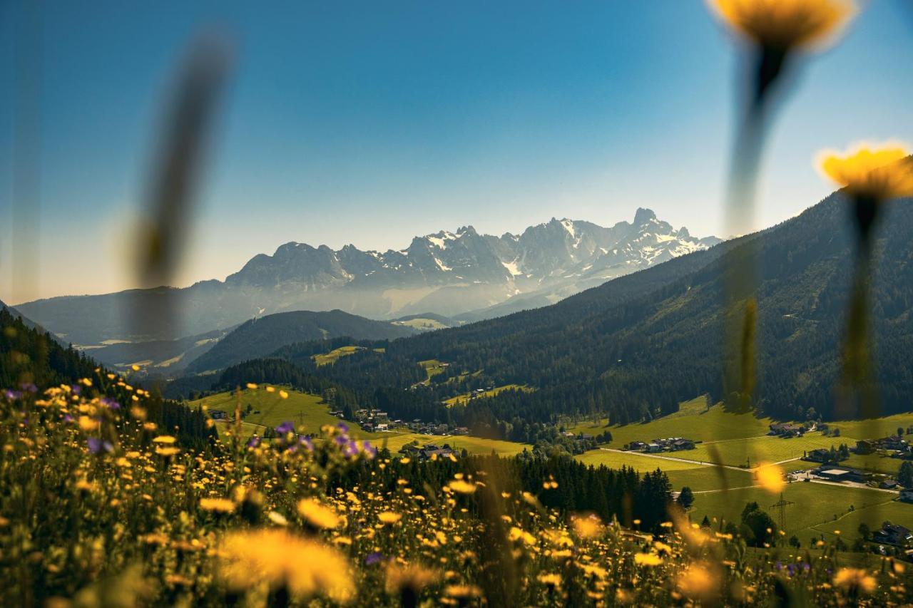 Gaestehaus Eder Sankt Martin am Tennengebirge Ngoại thất bức ảnh