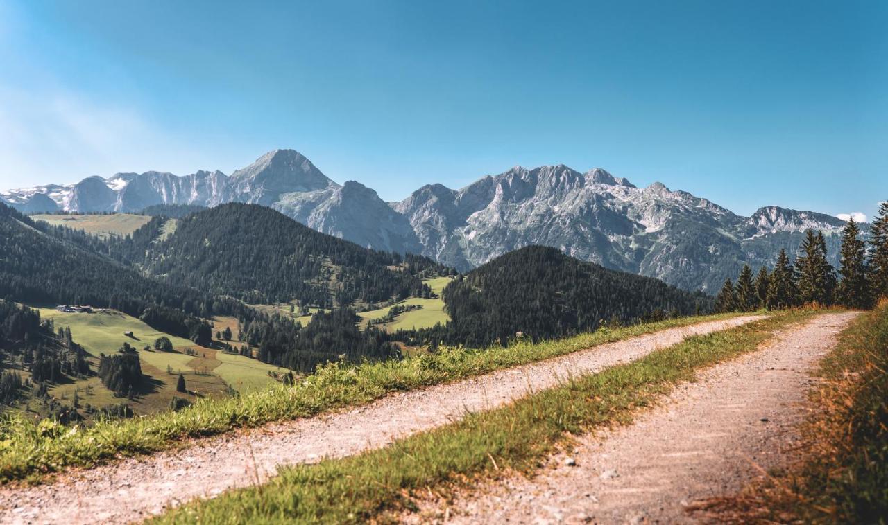 Gaestehaus Eder Sankt Martin am Tennengebirge Ngoại thất bức ảnh